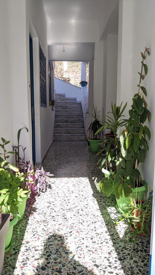 Small House For Holidays ليونِذيو المظهر الخارجي الصورة